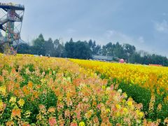 -中国天府农业博览园