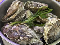 -土蚝·高压锅生蚝(百姓美食街店)