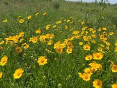 -洪湖生态旅游区