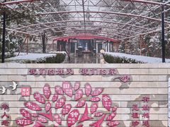 -大槐树寻根祭祖园