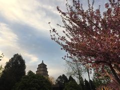 -大雁塔北广场音乐喷泉