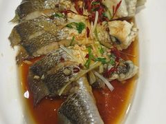 -渔码头食府·20年蓬莱老字号(登州路店)