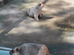 -南戴河国际娱乐中心