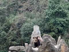-杭州野生动物世界