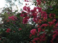 iphone_upload_pic-铁路文化公园