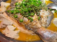 -探鱼·鲜青椒爽麻烤鱼(广州花都来又来店)