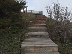 -野三坡百草畔景区