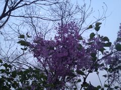 iphone_upload_pic-永定门公园