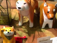 -柴务处·柴犬主题狗咖