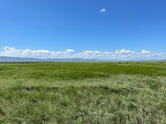 -野鸭湖国家湿地公园