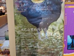 -黑鸡小馆(金源店)