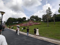-东莞植物园