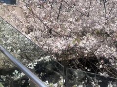 -星巴克臻选(杭州万象城店)