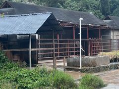 -野象谷景区