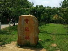 -田心森林公园