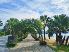 -大梅沙海滨公园