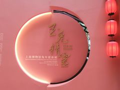 -上海博物馆(人民广场馆)