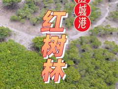 -北海金海湾红树林生态旅游区