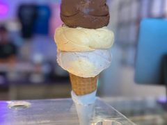 -Dooley's Premium Ice Cream