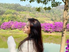 -南国桃园旅游度假区