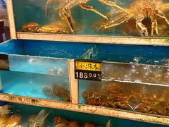 -鲜炉季港式打边炉(尚海湾店)