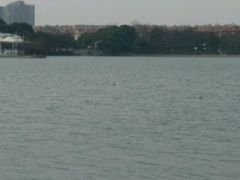 -天井湖游乐园