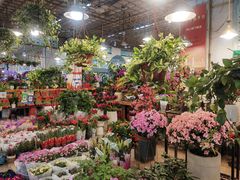 -双季花艺园艺市场(浦东店)
