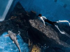 -华夏文旅海洋公园