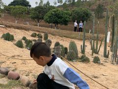 -东莞植物园