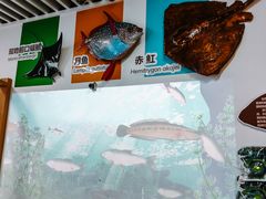 -浙江自然博物院(杭州馆)