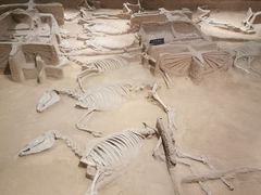 -洛阳周王城天子驾六博物馆