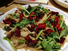 -蒙料·手把肉(望京店)