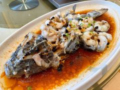 -小北江河鲜(新城店)