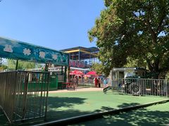 -朝阳公园游乐园