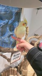 -Zoolung Zoolung动物主题公园(海信广场店)