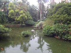 -九龙公园
