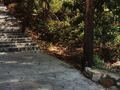 -广东惠东海龟国家级自然保护区