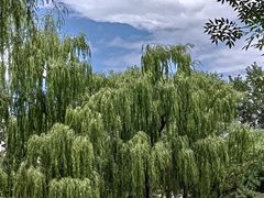 -玲珑塔公园