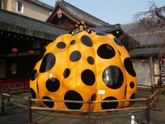 -弥荣会馆日本传统艺能表演