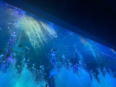 -波塞冬海底世界