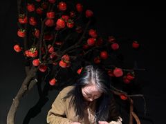 -西北湖绿化广场