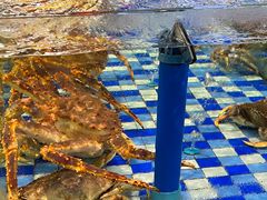 -老伙记海鲜码头(北滘店)