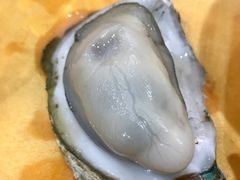 桑拿蚝-蚝专家(北滘店)