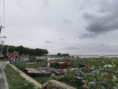 -阳澄湖半岛旅游度假区