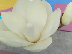 -原麦山丘(五棵松华熙店)