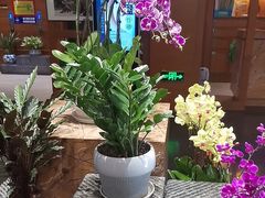 -黔蘑菇四季餐厅(观山湖店)