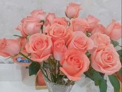 -爱的果实月嫂育婴师(世纪东方店)