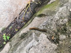 -碓臼峪自然风景区