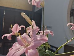 -泓盛花园