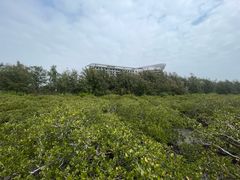 -北海金海湾红树林生态旅游区